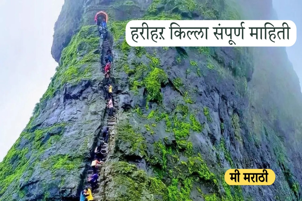 हरिहर गडावर पर्यटकांची संख्या आता मर्यादित; दिवसाला केवळ 300 जणांना प्रवेश
